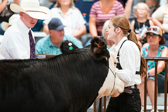 BEEF SHOWMANSHIP17
