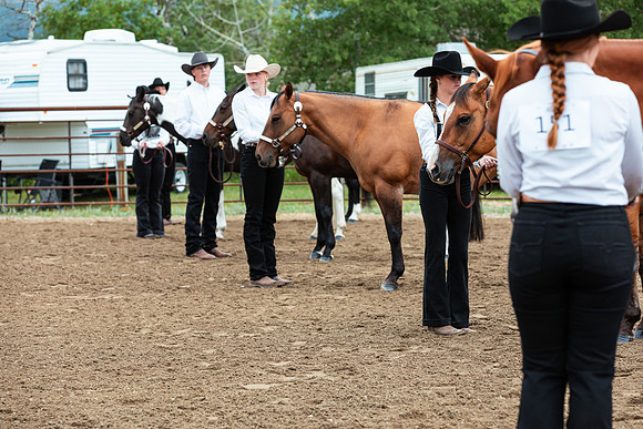 HORSE32