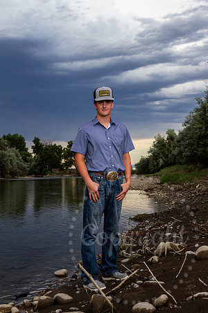 BRODY15