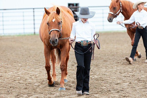 HORSE96