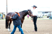 HORSE20