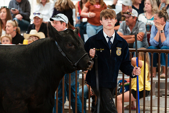 BEEF SHOWMANSHIP70