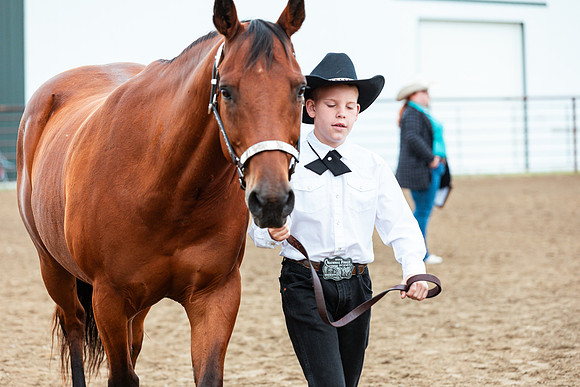 HORSE101