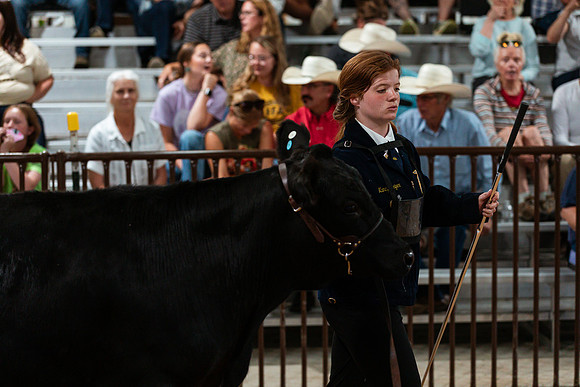 BEEF SHOWMANSHIP81