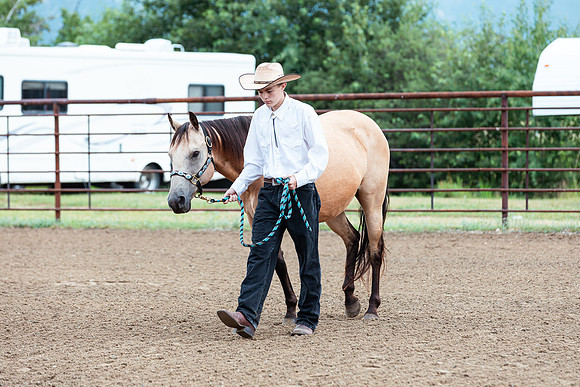 HORSE43