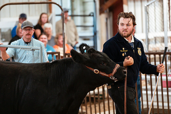 BEEF SHOWMANSHIP78