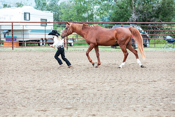 HORSE107