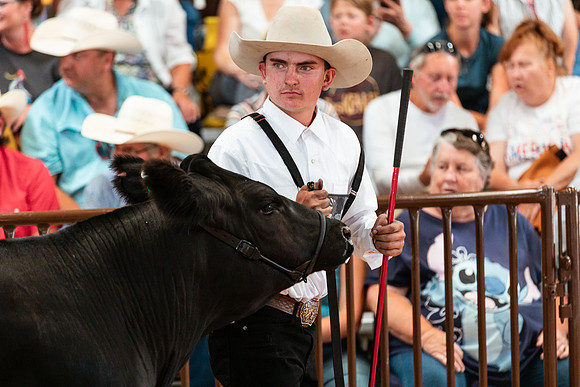 BEEF SHOWMANSHIP30