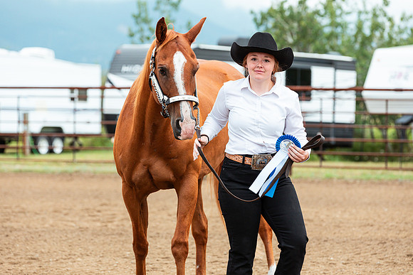 HORSE39