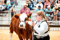 BEEF SHOWMANSHIP7