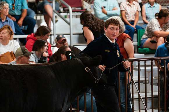 BEEF SHOWMANSHIP80