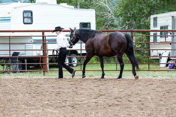 HORSE40