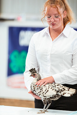 POULTRY4