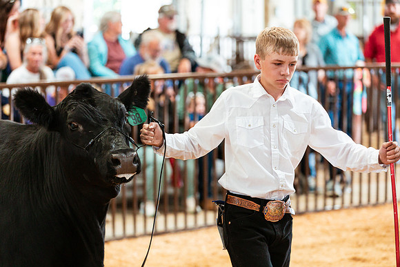 BEEF SHOWMANSHIP22