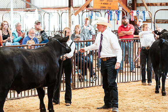 BEEF SHOWMANSHIP19