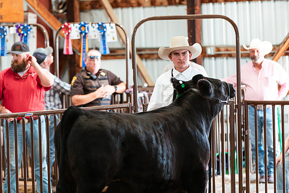 BEEF SHOWMANSHIP36