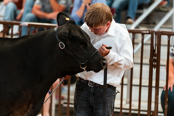 BEEF SHOWMANSHIP58