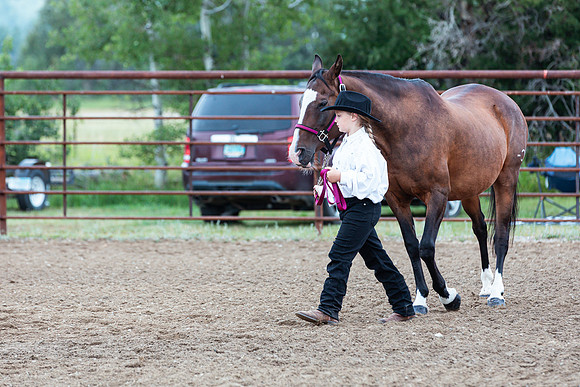 HORSE102