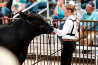 BEEF SHOWMANSHIP12