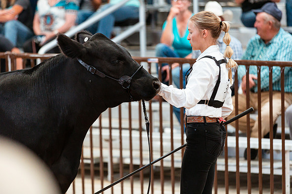 BEEF SHOWMANSHIP12
