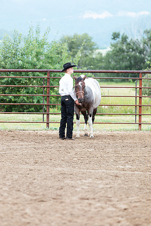 HORSE62