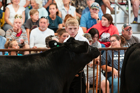 BEEF SHOWMANSHIP27
