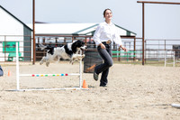 Day 2 - Dog Show