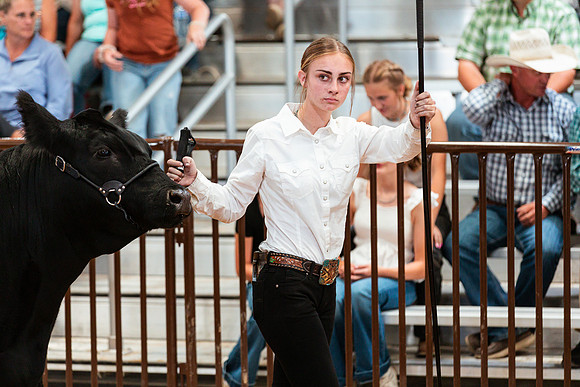 BEEF SHOWMANSHIP32