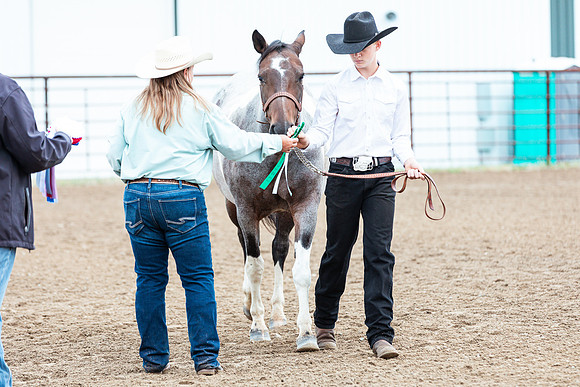 HORSE76
