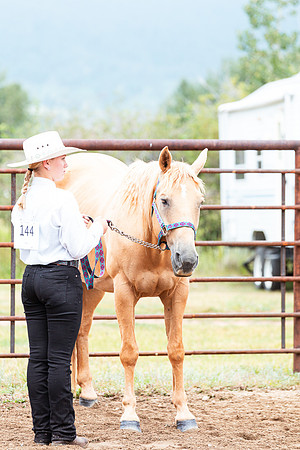 HORSE70