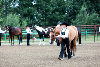 HORSE18