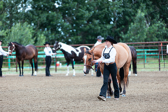 HORSE18
