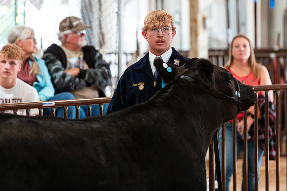 BEEF SHOWMANSHIP84