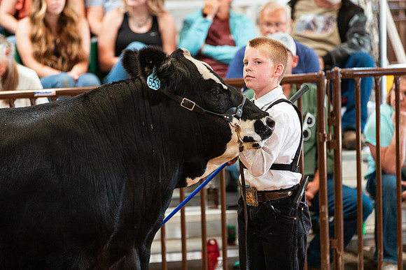 BEEF SHOWMANSHIP59