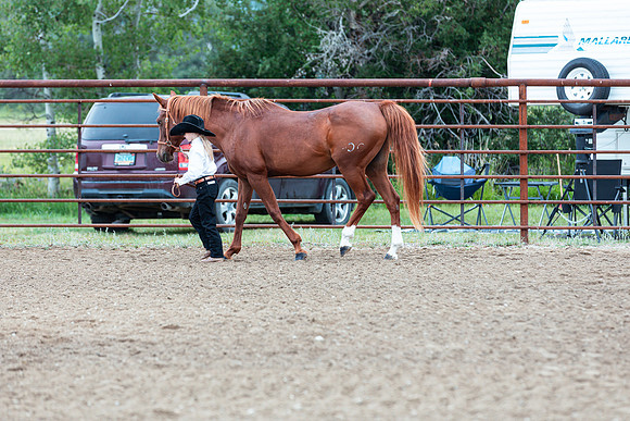 HORSE92