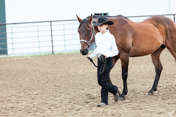 HORSE93