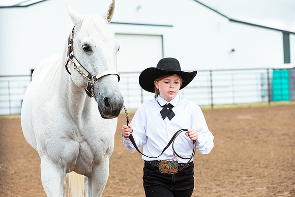 HORSE47