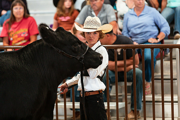 BEEF SHOWMANSHIP28