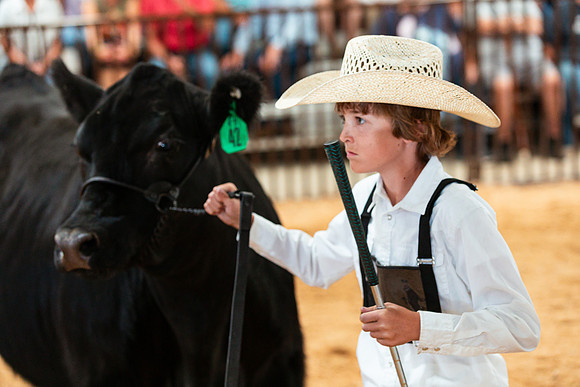 BEEF SHOWMANSHIP23