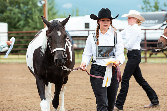 HORSE34