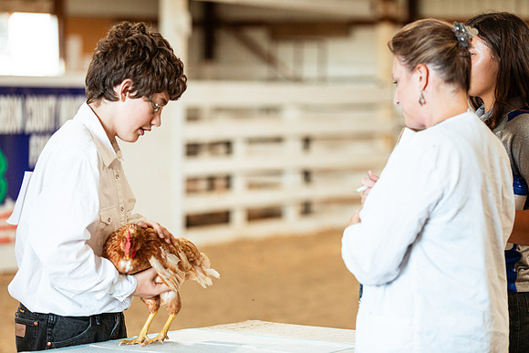 POULTRY34
