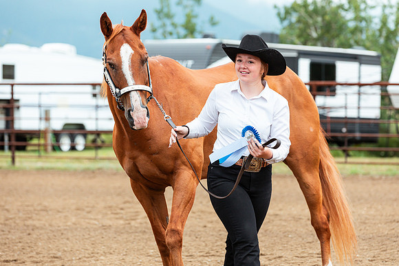 HORSE38