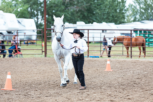 HORSE58