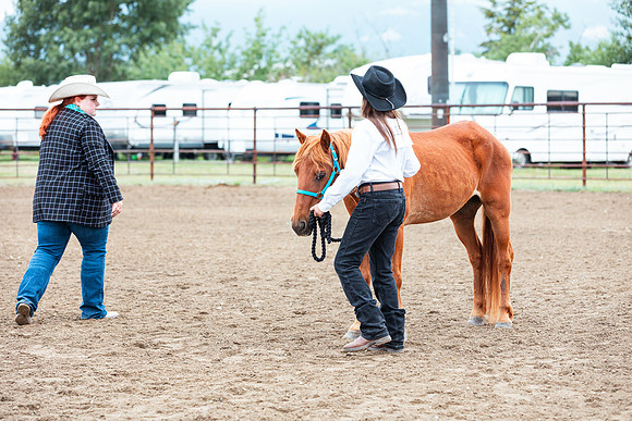 HORSE105