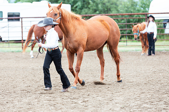 HORSE109