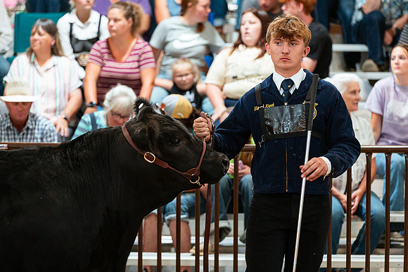 BEEF SHOWMANSHIP74