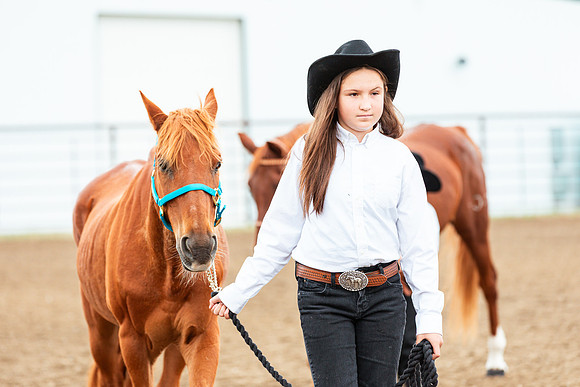 HORSE94
