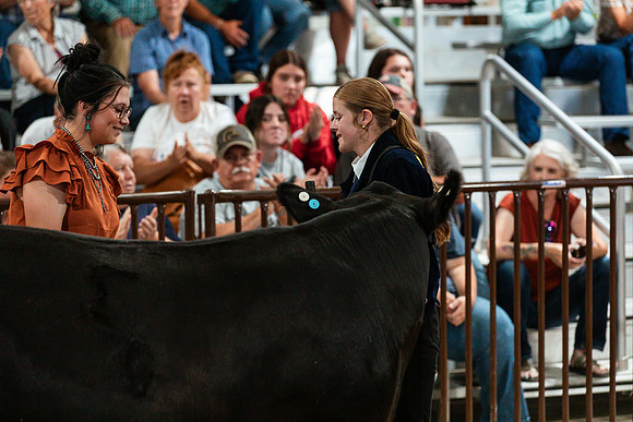 BEEF SHOWMANSHIP91