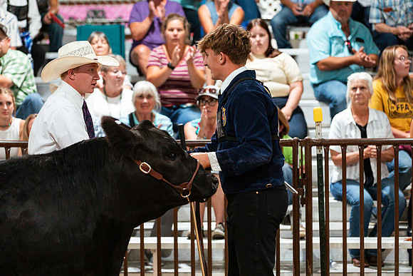 BEEF SHOWMANSHIP87