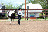 HORSE13